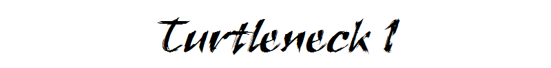 Turtleneck 1