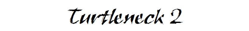Turtleneck 2