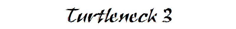 Turtleneck 3